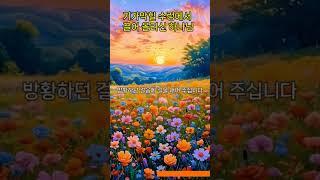 “기가 막힐 수렁에서 끌어올리신 하나님”l신앙의 숲길을 함께 걷다 #위로의말씀, #회복의은혜, #긍휼, #은혜, #은총, #평강,