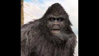 Bigfoot/Sasquatch Day Time Video In Logan Canyon Utah!  YOU DECIDE, YOU BE THE JUDGE 
