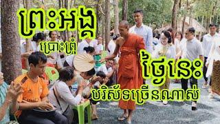 #ព្រះអង្គប្រោះព្រុំថ្ងៃនេះ#ពុទ្ធបរិស័ទច្រើនថ្ងៃនេះ