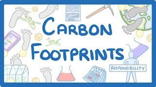 GCSE Chemistry - What is a 'Carbon Footprint'? - How to Reduce Carbon Footprint #69