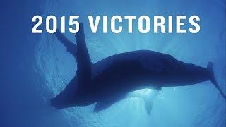 NRDC: Our Biggest Victories of 2015