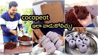 Cocopeat ఇలా వాడుకోవచ్చు Coco pellets, creeper net