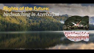 Flights of the Future: Birdwatching in Azerbaijan