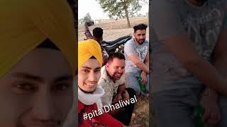 #pita Dhaliwal#