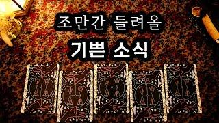 [타로] 조만간 다가올 기쁜 소식