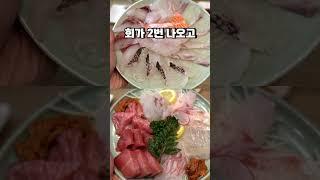 요즘 제일 핫한 코스횟집 '한 입' 먹방