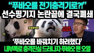 "푸바오를 전기충격기로?!" 선수핑기지 논란끝에 결국폐쇄 // '푸아보를 바꿔치기 하려했다' 내부폭로 충격진실 드러나자 푸바오 팬 오열