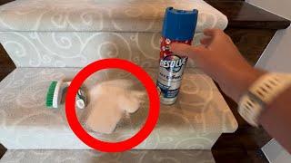 Real Life Testing Resolve Pet Stain & Odor Carpet Cleaner