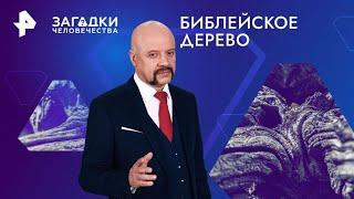 Библейское дерево — Загадки человечества (03.12.2024)