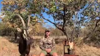 Tsala Safaris Intro to Sable Hunting (1)