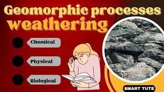 Weathering | Chemical, Physical and Biological Weathering | Class 11  Chapter 6 Geomorphic Processes