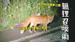 監獄、流冰，還有夜訪知床國家公園召喚野生狐狸——北海道冷門景點最終章