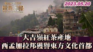 大吉嶺紅茶產地 西孟加拉邦獲譽東方文化首都 TVBS文茜的世界周報 20230520