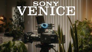 WHY I BOUGHT A SONY VENICE