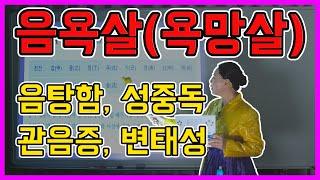 [무속과 사주의 콜라보 87강 ]음욕살 =욕망살(淫음란할음 慾욕심욕  殺죽일살 )!(欲하고자할욕 望바랄망 殺죽일살) 끈임없이 일어나는 욕망 !성중독의 아이콘 음욕살!