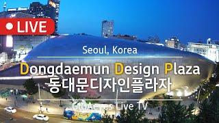 서울실시간 DDP라이브 Live Cam I "Dongdaemun design Plaza", Seoul, Korea I 동대문디자인플라자 동대문사입 서울여행명소 동대문가볼만한곳