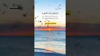 Beautiful Quotes | Islamic Quiz | Life Changing Saying |#quotes #shortsfeed #motivation #viralshorts