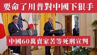 要命了！川普對中國電商下狠手！800美元免稅政策暫緩執行，60萬賣家苦等死刑宣判！黃金瘋漲！房地產爆雷潮蔓延！全球資本撤離中國！貿易戰｜破產潮｜失業潮｜阿里巴巴｜拼多多｜TEMU｜SHEIN｜亞馬遜