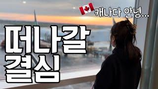오래 고민했습니다.. 3가지 이유 (캐나다 부동산 현황 / 외식 물가)