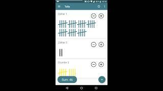 Tally Counter