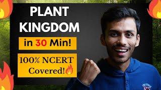 Plant Kingdom in 30 Min! | Fast Revision ONE SHOT| NCERT Line to Line | Class 11 | NEET