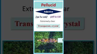 Pellucid