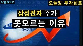 삼성전자 주가 못오르는 이유