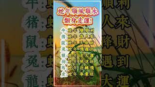 蛇年順風順水，翻身轉運