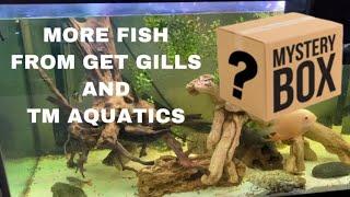 UNBOXING TM AQUATICS @ GET GILLS