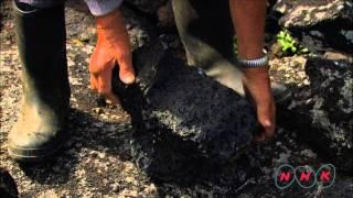 Landscape of the Pico Island Vineyard Culture (UNESCO/NHK)