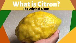 What is Citron?| The Original Citrus