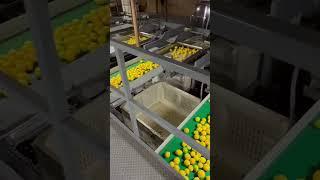Compac pre-grader to re-bin line