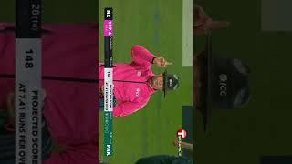 Haris Rauf 3 wickets in one overs in Pakistan vs New Zealand today Match 8 10 2022