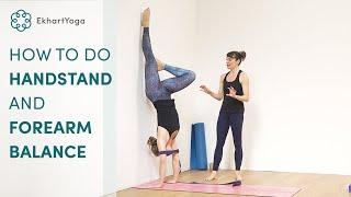 Handstand & Forearm Balance Tutorial with Katy Appleton