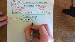 Amyotrophic Lateral Sclerosis (ALS) Part 1