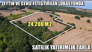 YATIRIMLIK 24.200 M2 SATILIK TARLA