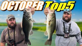 Top 5 Lures October!