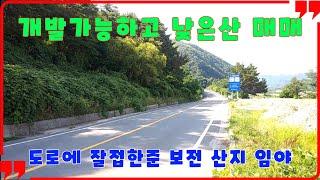 376  용산리 산매매 왕복2차선도로에 잘 접한 임야 매매 개발이 가능한 준보전산지 매매 공장부지로 활용이 가능한 포항산매매 창고부지로 활용이 가능한 오천임야매매 포항부동산