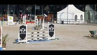 My Way - Cycle 4 ans