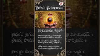 TRIDALAM TRIGUNAKARAM - BILVASTAKAM | #bhakthi #lordshivasongs #omnamahshivaya