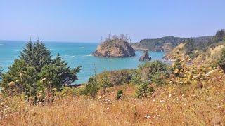 Trinidad State Beach Lookout Point - Sept. 2020