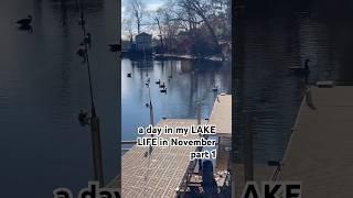 a day in my LAKE LIFE in November! #lake #lakeliving #lakelife #newenglandliving