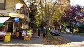 Vancouver STREET END-TO-END WALK: BARCLAY STREET From Burrard St. to Lagoon Drive, Stanley Park