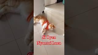 Si Oyen lucuu