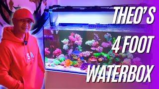 Theo's Impeccable 4 Foot Waterbox Mixed Reef