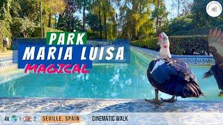 Magical Maria Luisa Park Seville