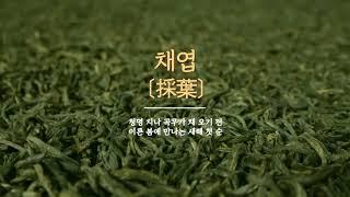 천상의 이슬차