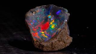 RARE Coober Pedy Shell Opal with unbelievable color goes under the grinding stone