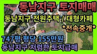 [청주토지매매] 청주 동남지구 평당 155만원 저렴한 토지매매 / 면적 747평 동남지구전원주택토지 동남지구카페부지매매