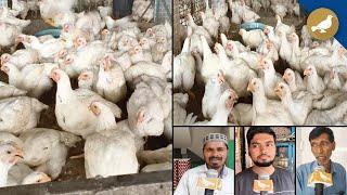 Bird Flu effects in Hyderabad Chicken Markets